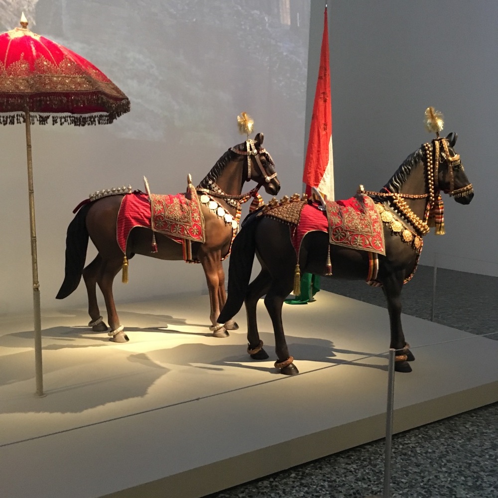 Meet your Posher, Kingsley